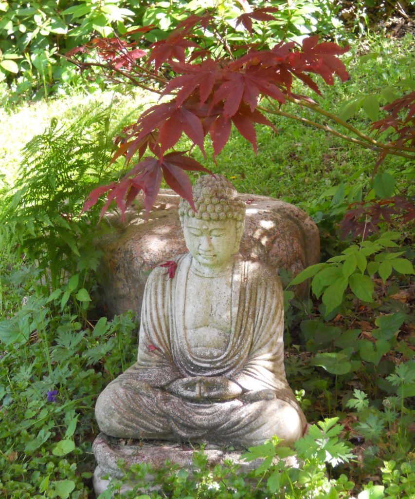 Buddha under Jap Maple - Ira Rabois