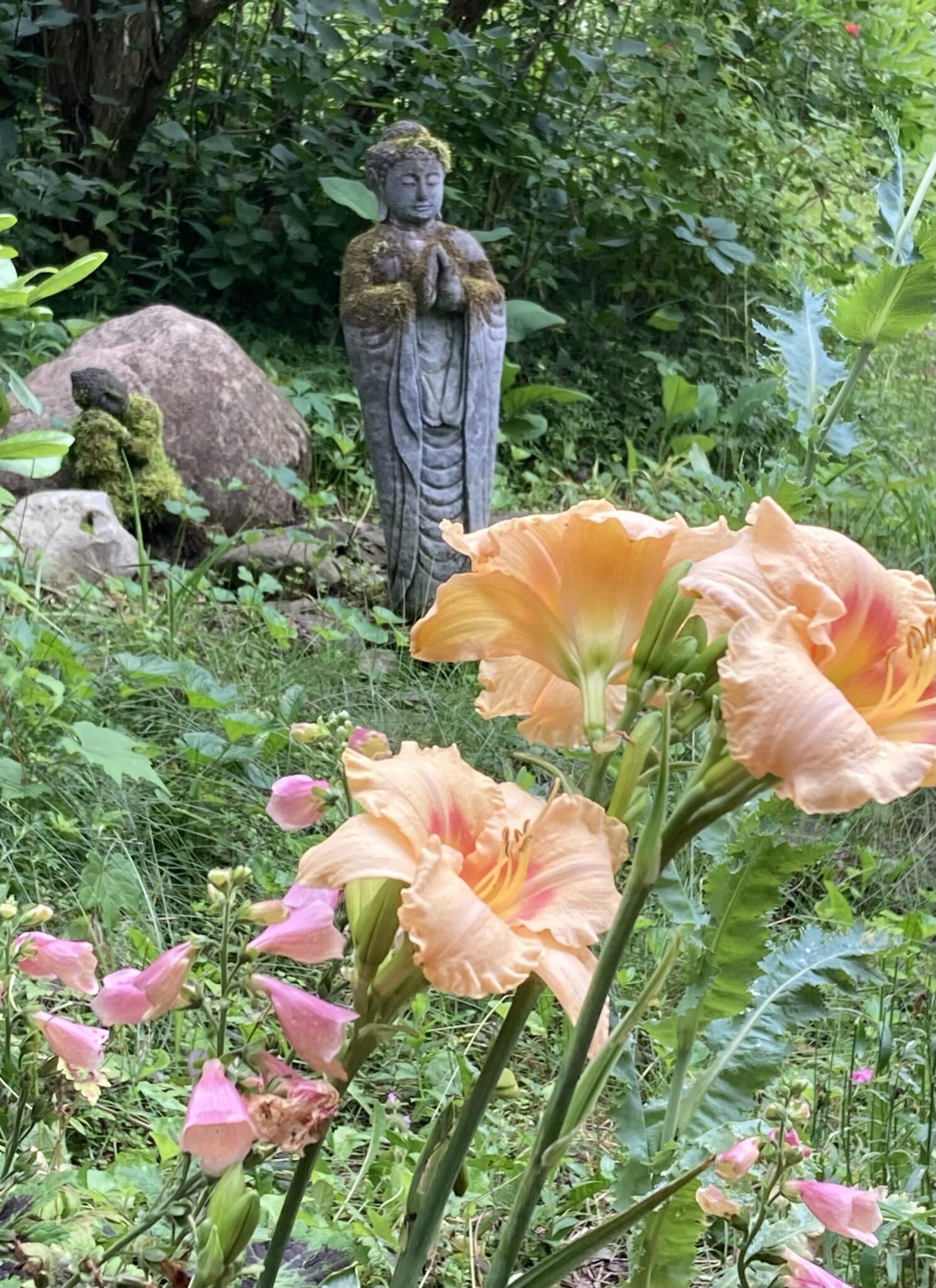 buddhas-standing-flower-ira-rabois